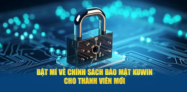 Chính sách bảo mật Kuwin sẽ thu thập những thông tin nào?